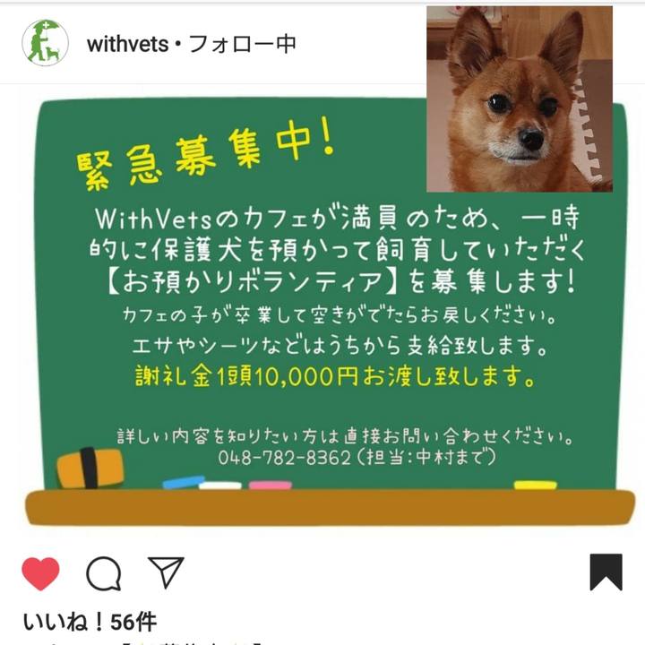 88b3134c 0713 4f90 98b5 64375d69394a 1563078970554