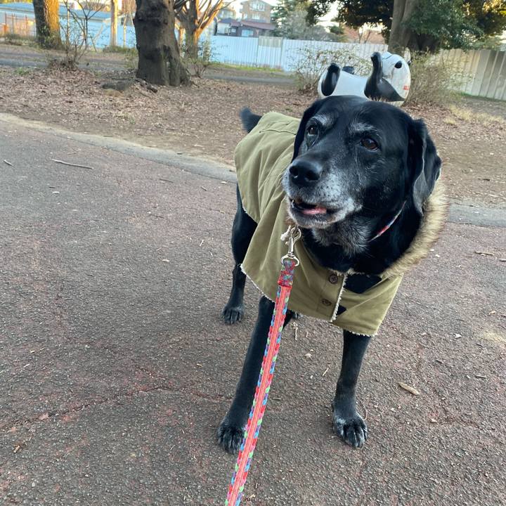 88b370dd 7751 4171 9fa3 446823097f70 1645949559753