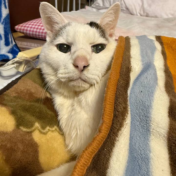 88b37c4a 6c76 4898 b21f 927b97d12c3c 1771366214544