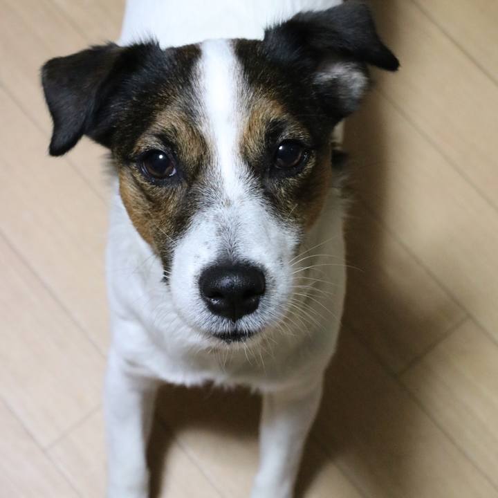 88b3d148 34d4 4bc9 991c 65ac1fd89691 1542973260582