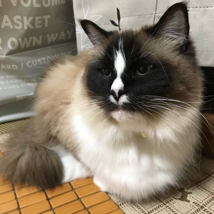 88b4068b 55eb 4386 9977 89ffba4592da 1521642670775