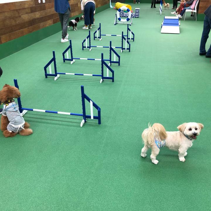 88b40cf5 e90c 465b 9008 ddff3ae1ca67 1508072703267