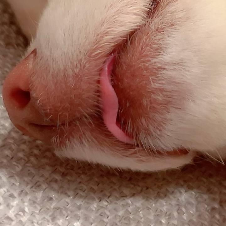 88b41756 8155 493c 9a53 6a9b5fe8f90c 1713786430750