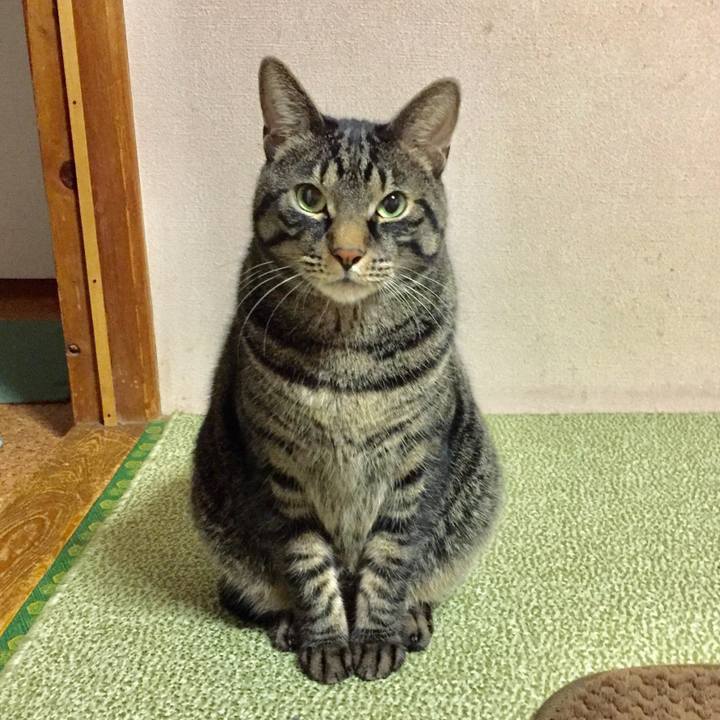 88b43c52 d1c6 4f57 8414 bb002cfb8f05 1508718509331