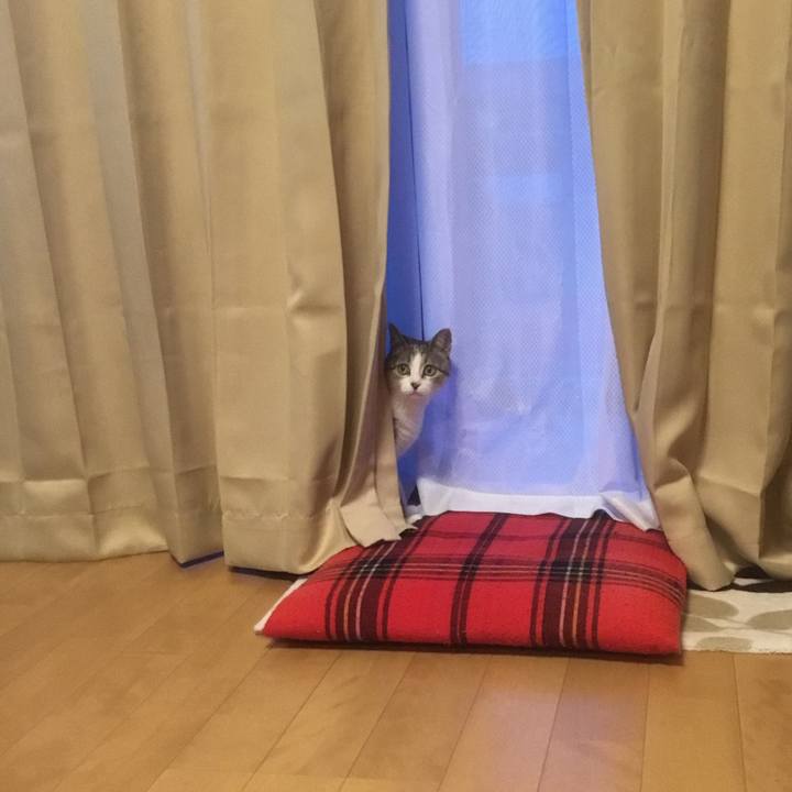 88b456a0 c556 4893 9745 1935fb3f1f0e 1764804229460