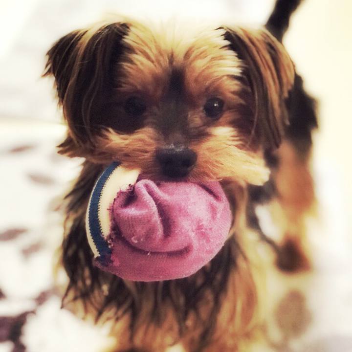 88b46226 76fe 4141 bf37 091ba6df2ad9 1519774799094