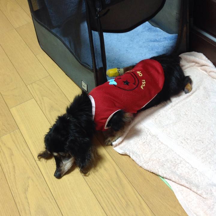 88b4a2fc 7df9 48c0 91ac 44dd8c69c497 1634096482657