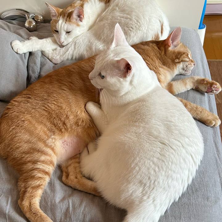 88b5041c 1602 43c5 bf11 adade5f7e7a0 1673219359410