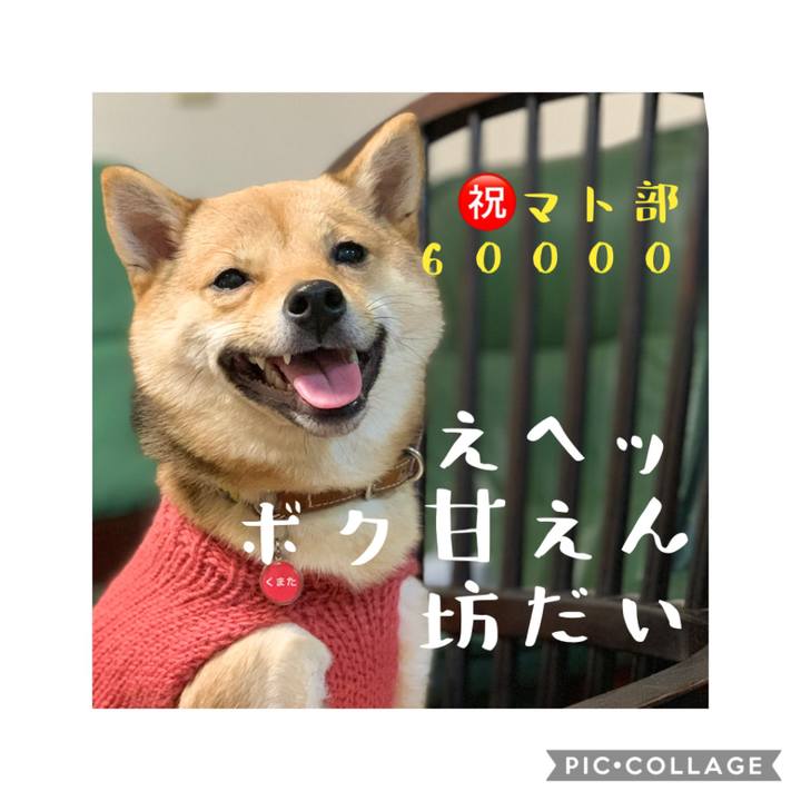 88b53633 9144 4508 8562 0a7924f432c8 1578405761522