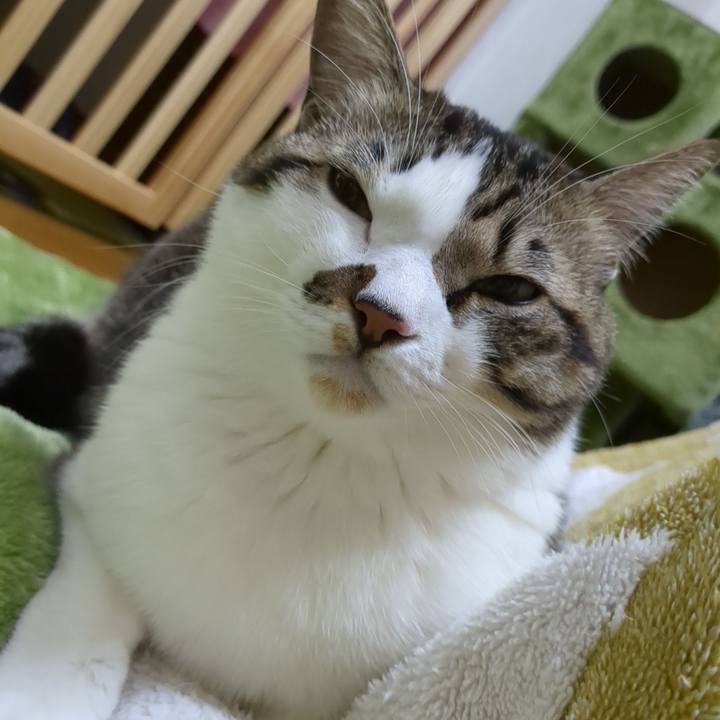 88b55897 9c2f 4db6 bdac bd65ba1f253c 1672407727467