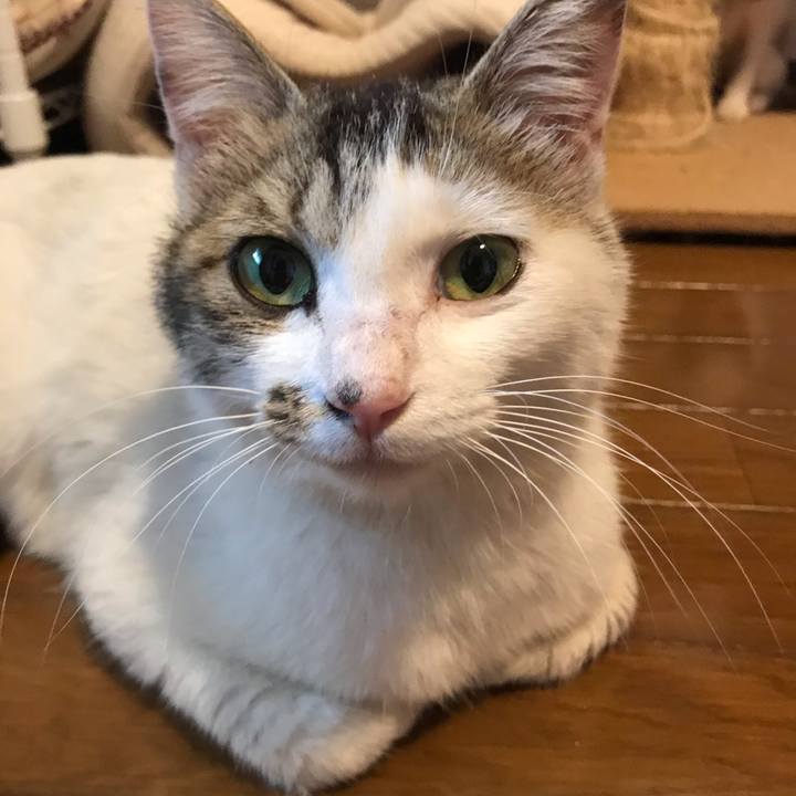 88b55a3f 2dd9 4ad3 a8af 07b9f4b6fc71 1595497599181