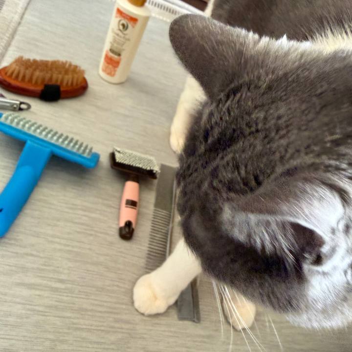 88b584c8 1b85 44b5 ae93 627421813970 1770540069498