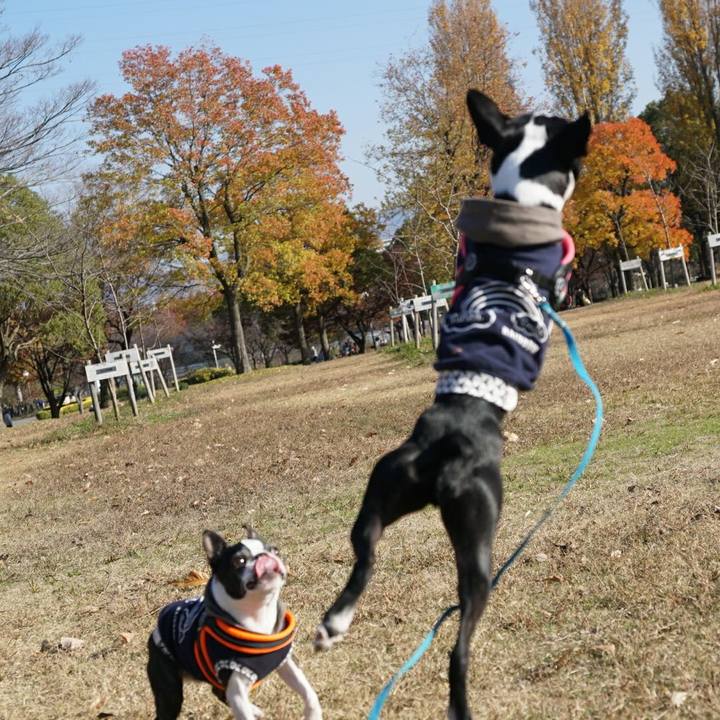 88b59259 0307 46af 82a7 160a237b7613 1512290519073