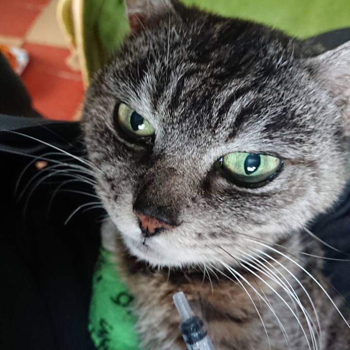 88b5d623 c949 46f1 b761 d4ff3d789d7e 1587073759279