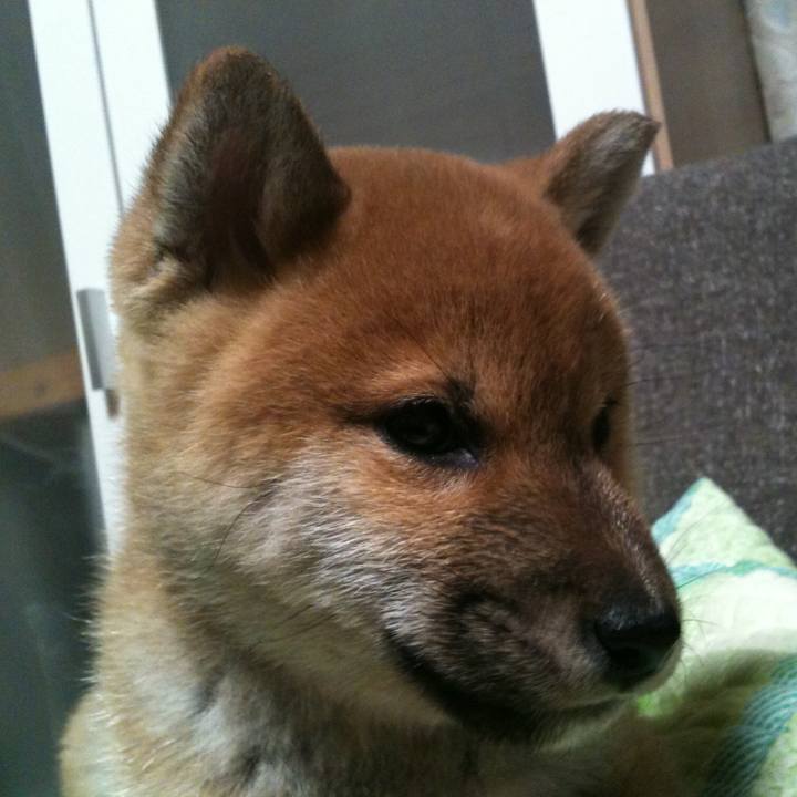 88b5d77e 396f 4e27 adb8 c9831c388834 1523703010139