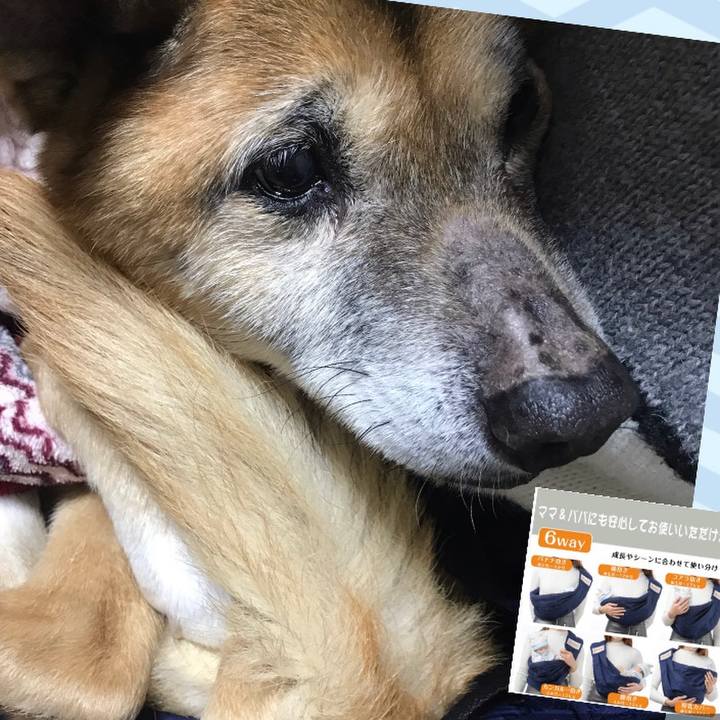 88b5ecfb 3094 41b6 a010 4907c8886188 1549465320075