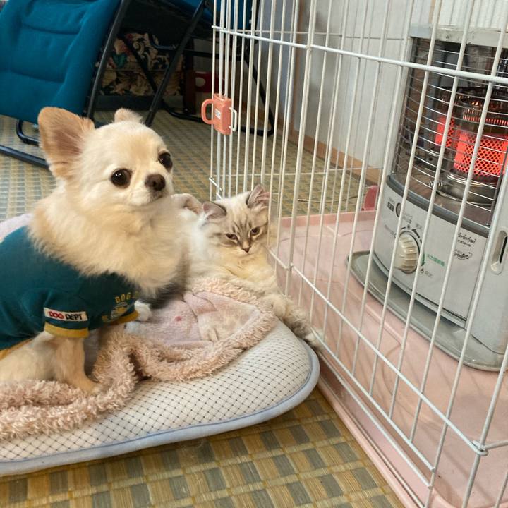 88b60a2b c265 4f74 aa78 07fc560372d2 1673754043000