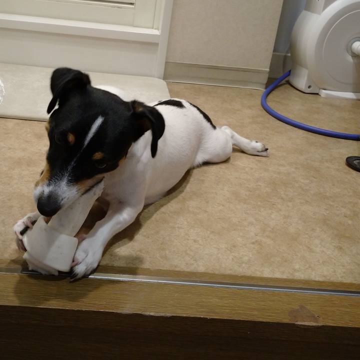 88b61657 85cb 4153 8ba0 59f571363a41 1568250667090