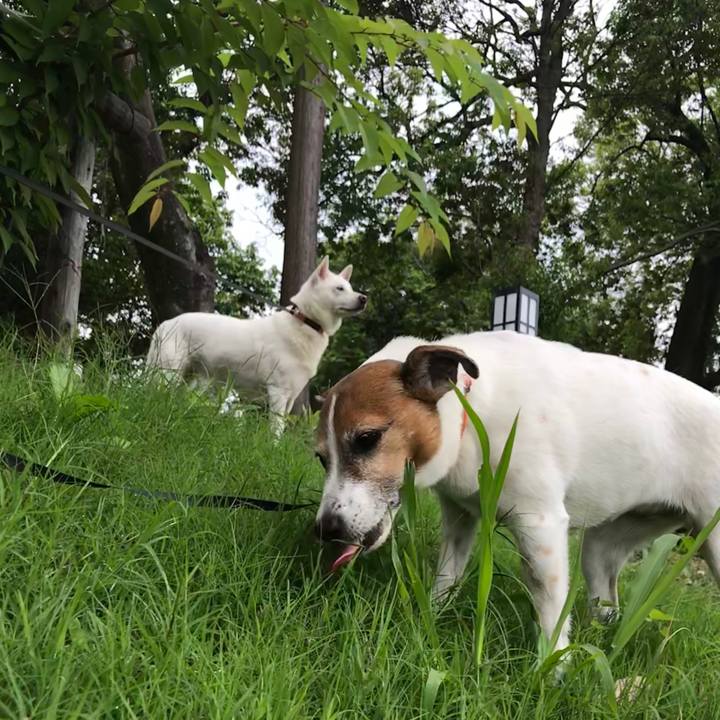 88b61f70 d250 480a b911 1a7dacf65e92 1528591696006