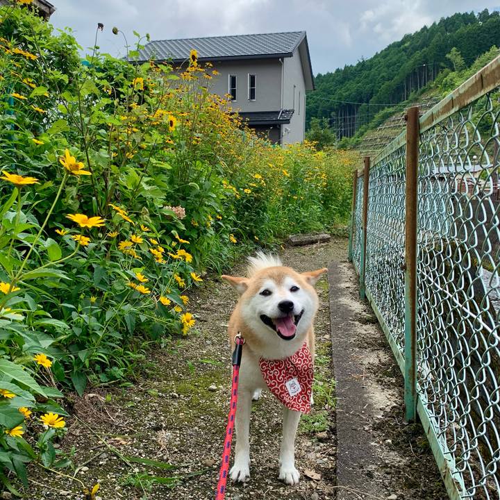 88b62a8f c70d 47c2 98ec 1f571e01d645 1660033131171