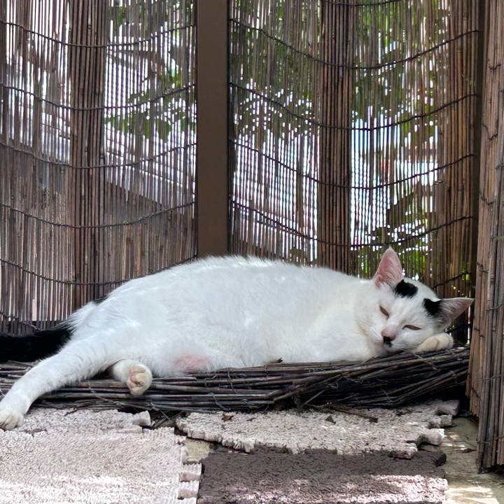 88b64065 c865 41cf b7ff f510cf7d9c0a 1728107687562