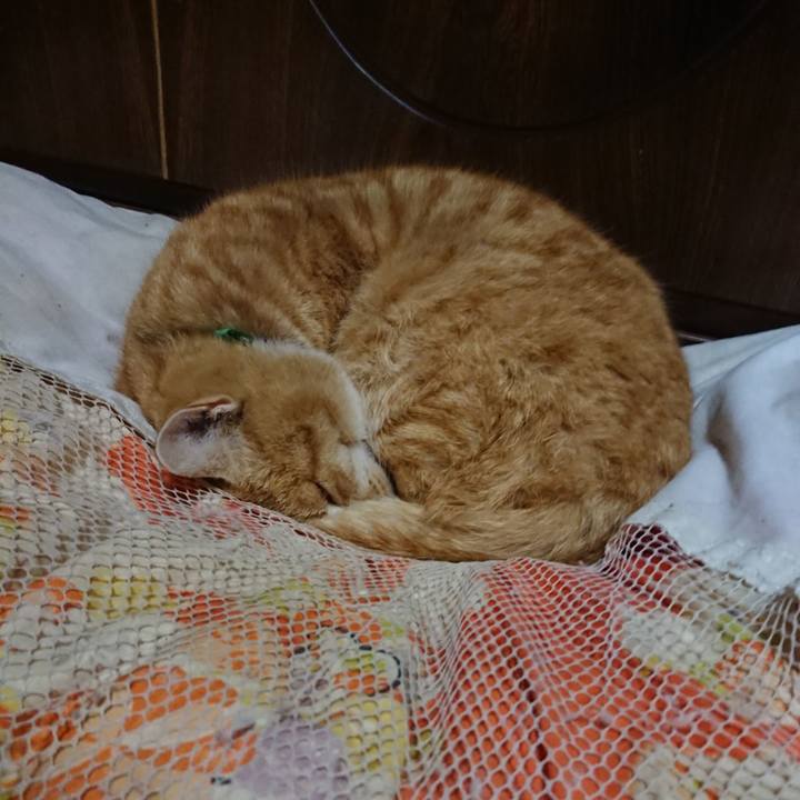 88b6a8fc 9c43 4f76 8f54 5ee51d4b3178 1584014837848