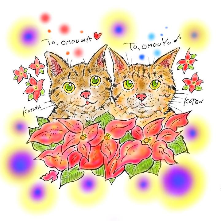 88b6db10 b6e2 41cc a762 255485f77d70 1576521645389