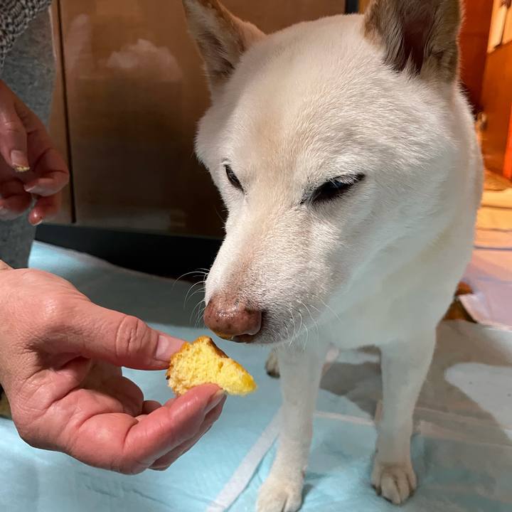 88b6e77f 9013 427c 81c2 0225b51b4840 1641475992400