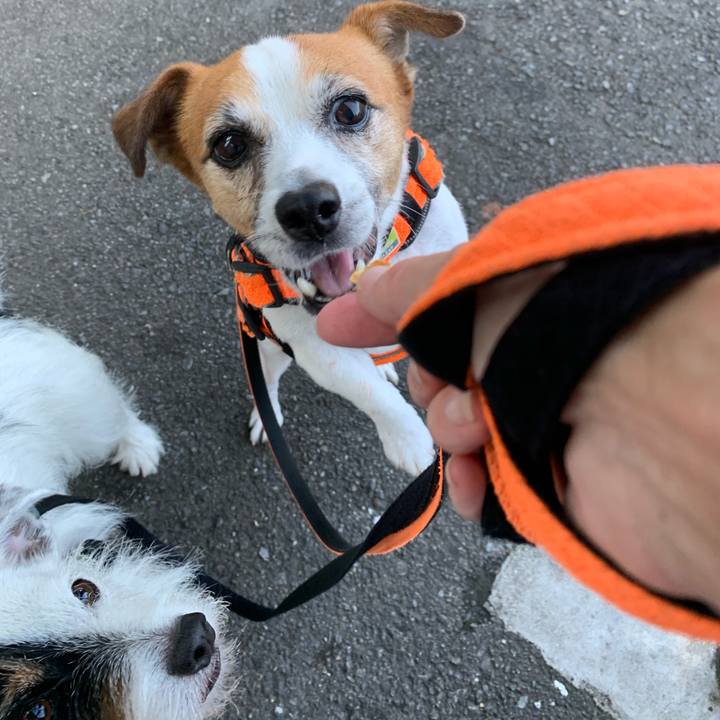 88b71fe0 6f31 42f8 abe4 b1143f56dba1 1631260856352