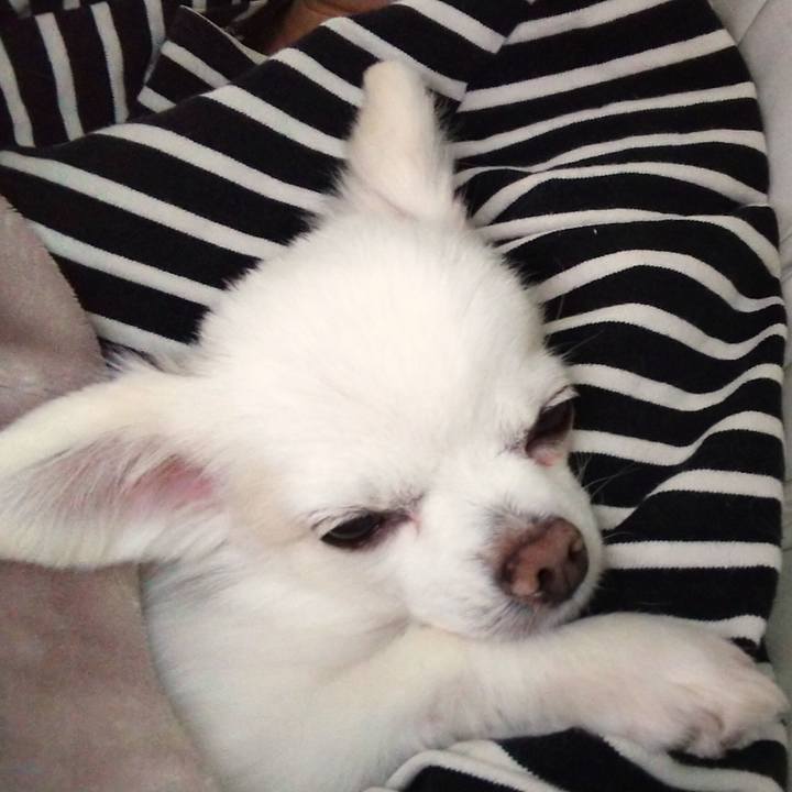 88b75ae2 7ecf 43ed ae59 425bdb47e2e3 1587876245100