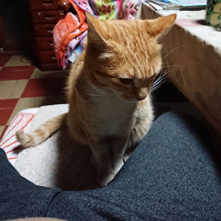 88b77db3 c708 49f5 863f 21b7135894b4 1585252608357