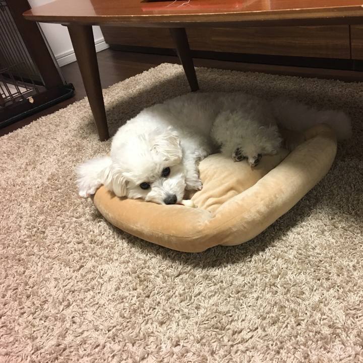 88b7c9f1 0526 45a0 b18c 69c0d0ee7841 1525092530505