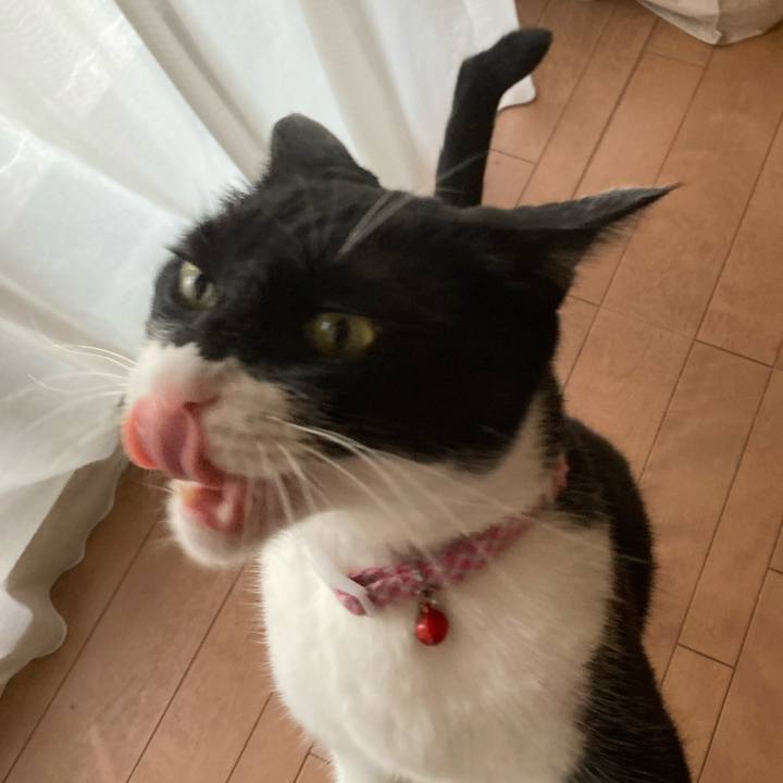 88b7f79d 2445 48fb b107 72728bd609d1 1628493831879