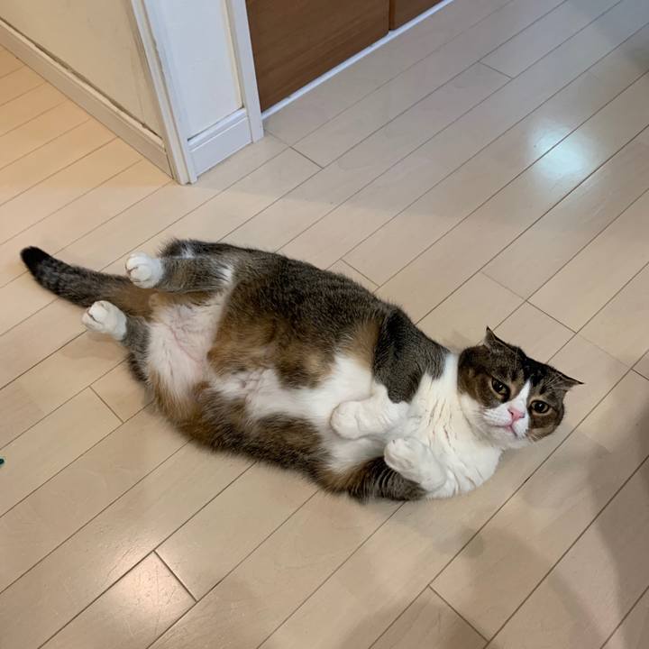 88b81df8 b3e3 475a b969 d3c680aa52ff 1578149649068