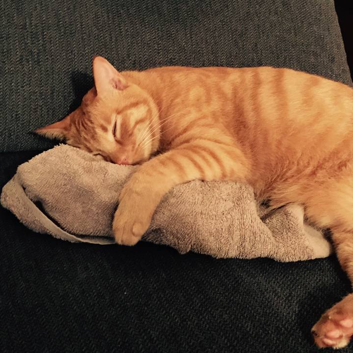 88b82f17 cb46 4bc9 bfe7 695648e05972 1597149577247