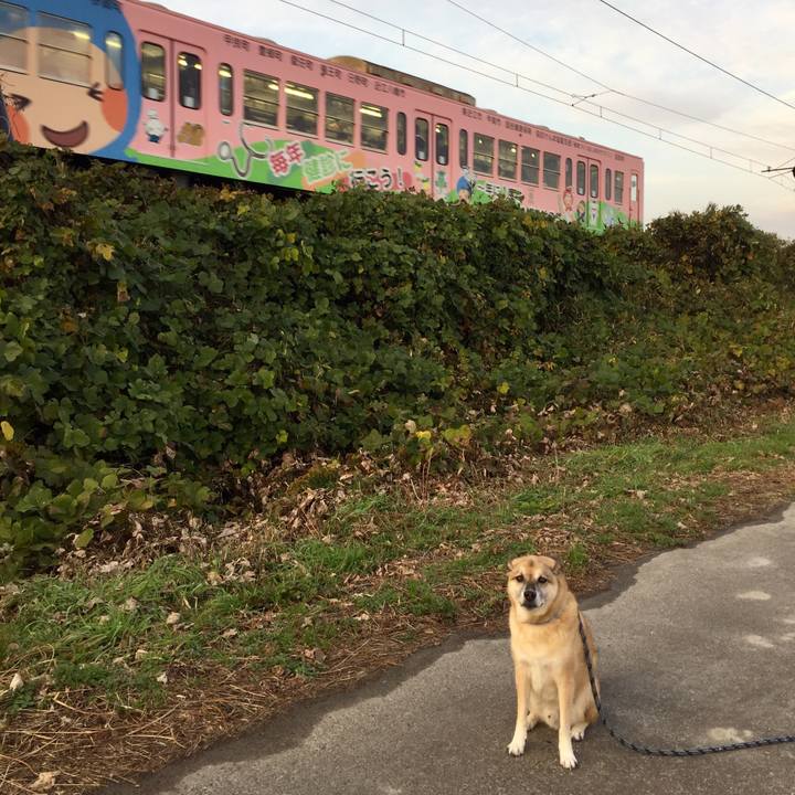 88b848ef e389 45d8 9f6e b7af875fc5c9 1574857679985