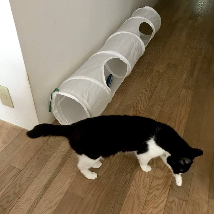 88b87653 24dd 468c abab 8cfad07a8f25 1528344572070