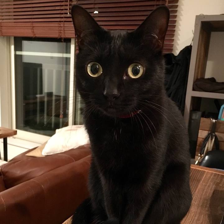 88b8a7be ff45 4b2e 9216 327d4f7c77c5 1540382043832