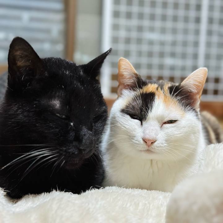 88b8adfa 3c60 4c84 ab8b 77e004a32656 1712113856181