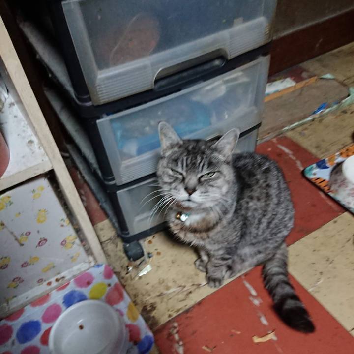 88b8bef8 7a65 420c 8532 c726ef2a9a98 1574108830594