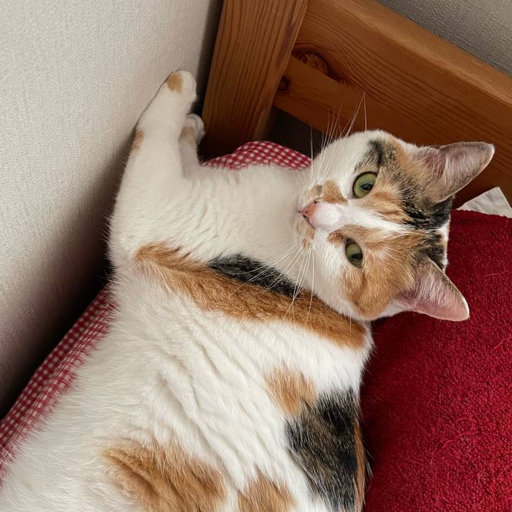 88b94486 407f 40fe 9f95 a0f78b072b33 1655593845466