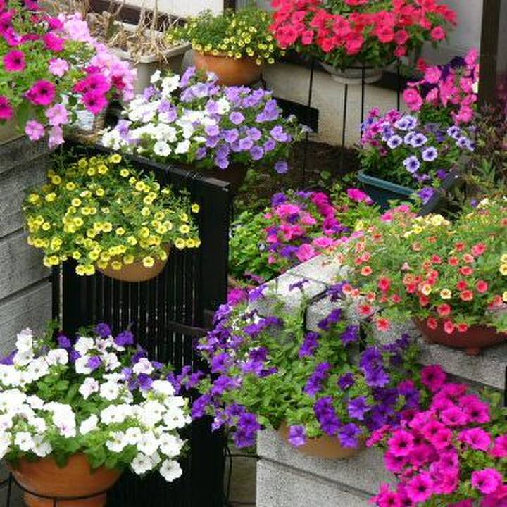 88b94dcd ccd5 4c80 872a 946a1b598f1c 1639527205416