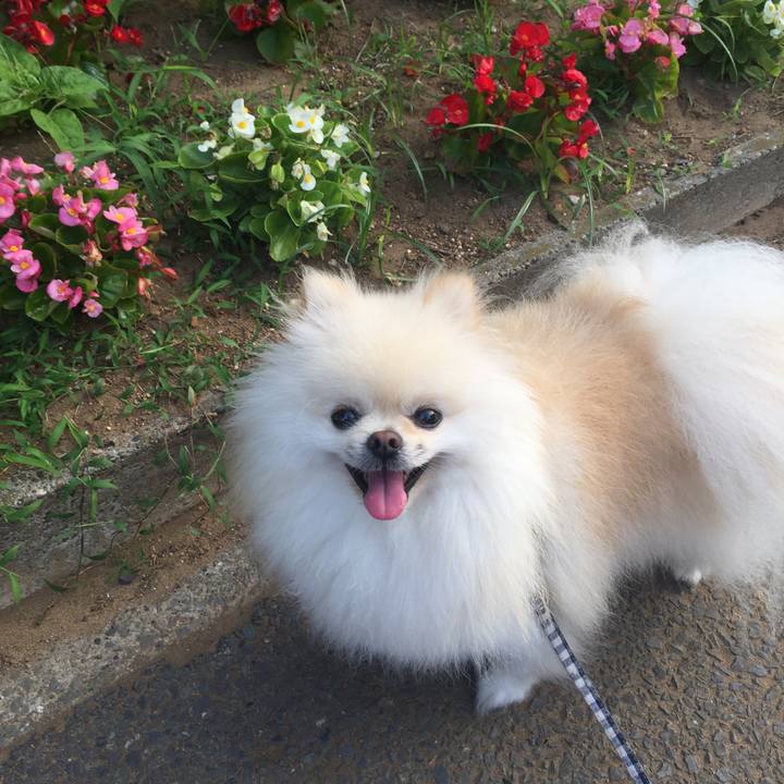 88b96248 d3eb 43da b18c 20e71362d280 1530390766924