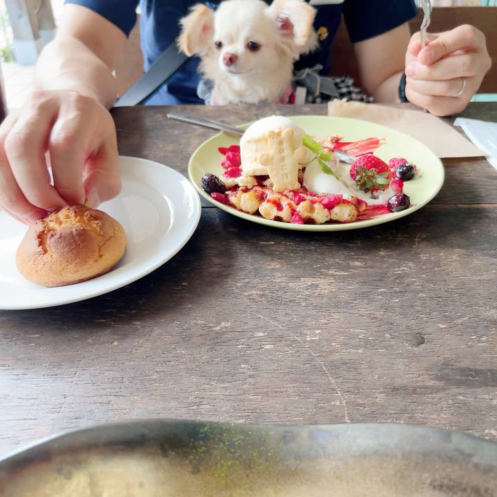 88b97c92 101d 4fc3 9829 d7acb703978b 1691497009142