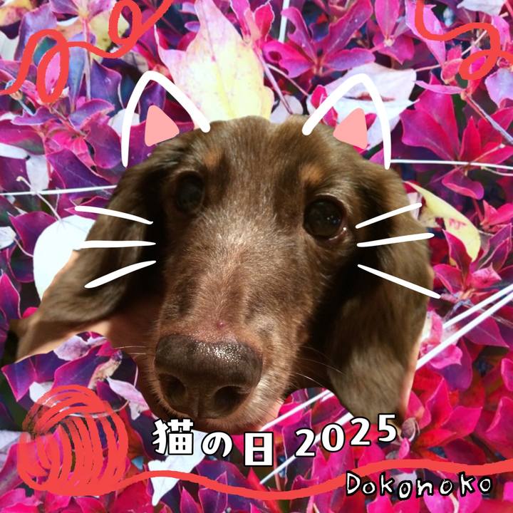 88b98183 9207 43ae 8384 52b2ccb80a2b 1740183783067