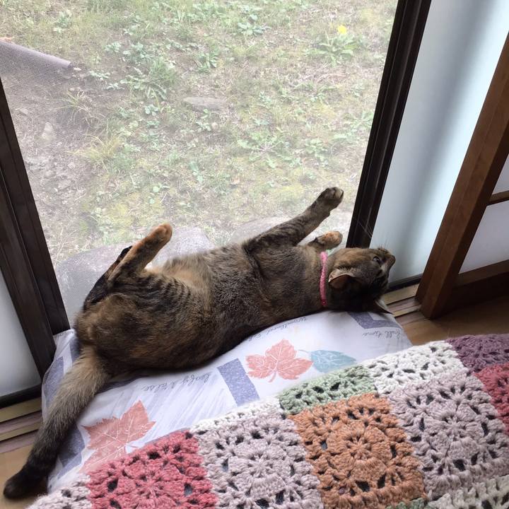 88ba545d af25 45f7 920d 9e96f783f20f 1605843659860