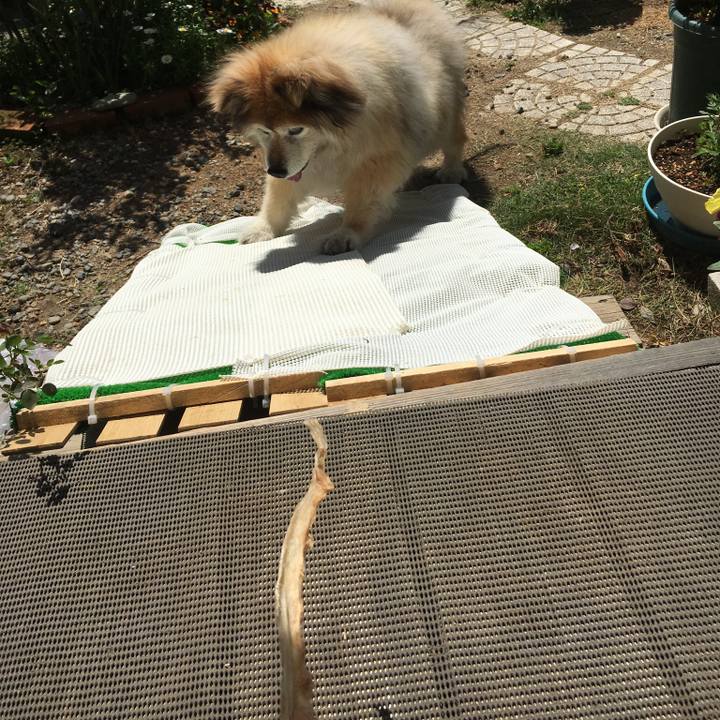 88ba563c 4f29 428c 81da 39c0e1a99bbc 1587307646258