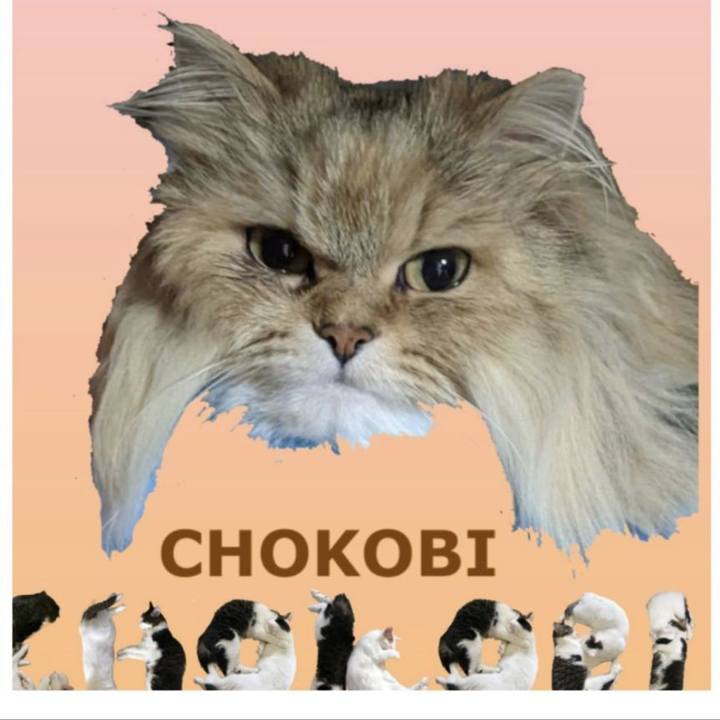 88bafe02 498d 4374 896c 141a8d6bbe36 1674006966525