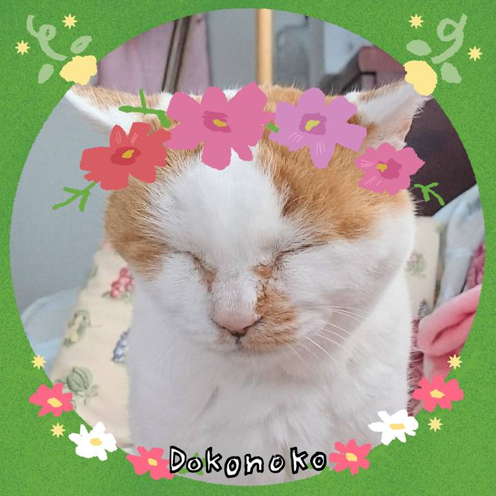 88bb1a73 ce88 488d 8b9e f92168e38bc0 1726882525580