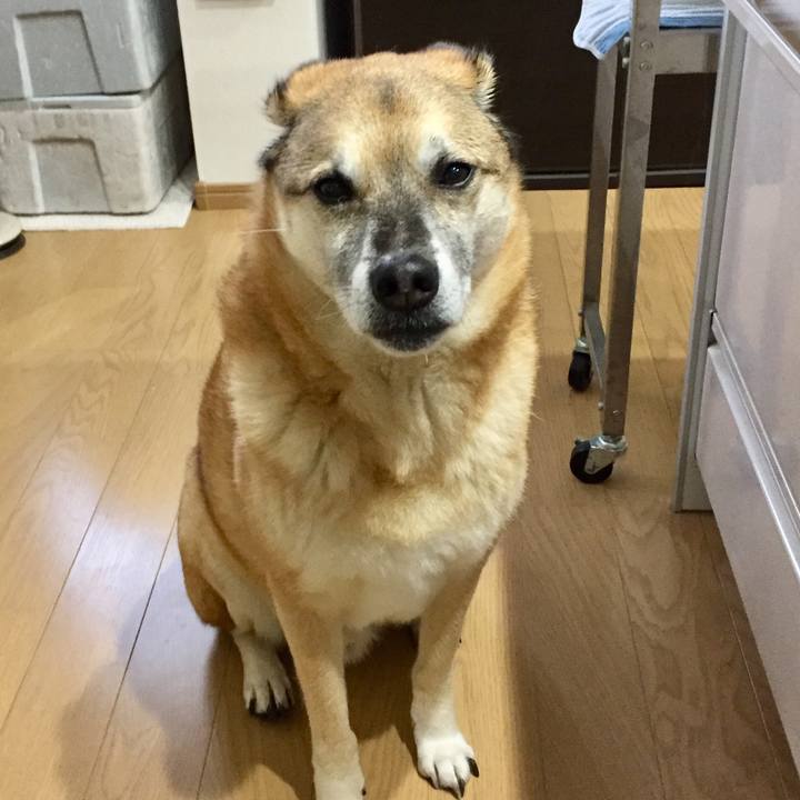 88bb2f90 45f8 4f69 9915 7f142822fb0d 1581332054134